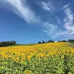Farma Casale Dei Cinque Colli Ostra