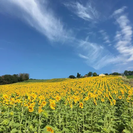 Alloggio per agriturismo Casale Dei Cinque Colli Ostra
