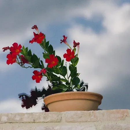 Casale Dei Cinque Colli *