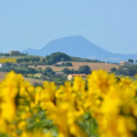 Alloggio per agriturismo Casale Dei Cinque Colli