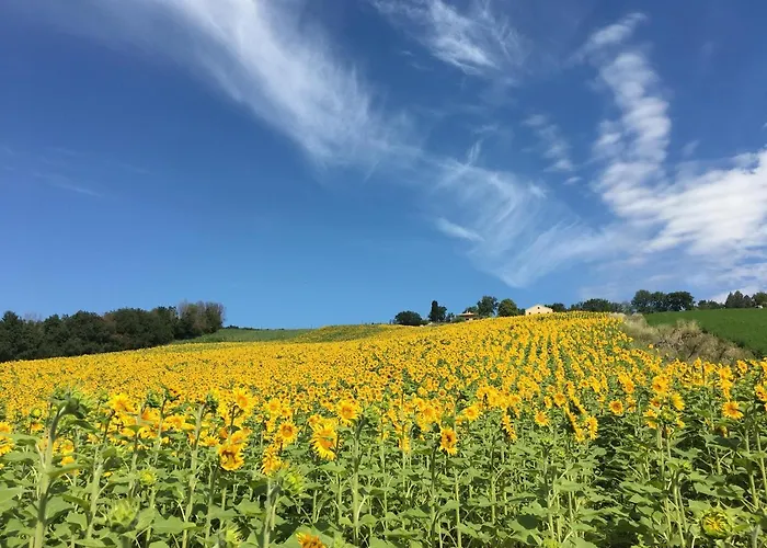 팜스테이 Casale Dei Cinque Colli Ostra